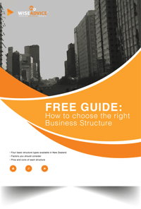 business structure guide